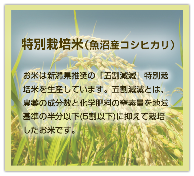 特別栽培米(魚沼産コシヒカリ)|お米は新潟県推奨の「五割減減」特別栽培米を生産しています。五割減減とは、農薬の成分数と化学肥料の窒素量を地域基準の半分以下(5割以下)に抑えて栽培したお米です。